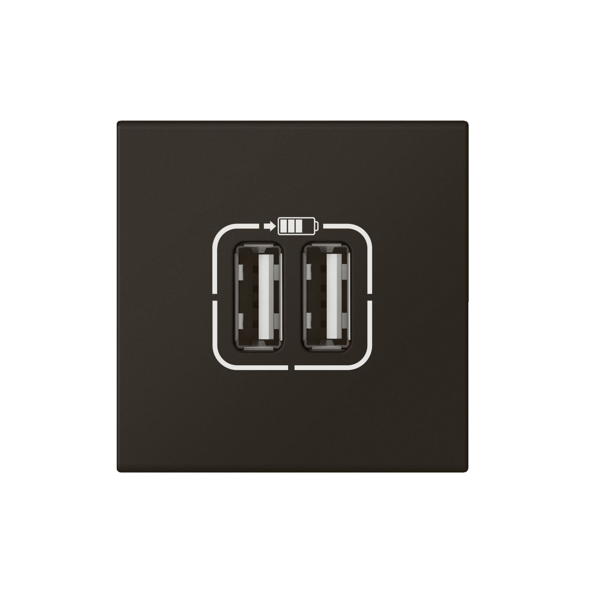 Legrand İkili USB Şarj Prizi, A Tipi, 230V~, 5VDC - 2.4A, 12W, 2M, Siyah LEG-079194L