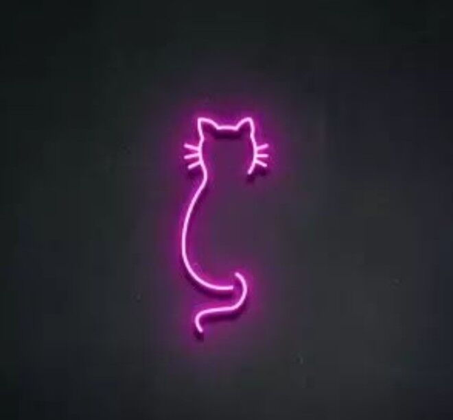 Kedi Neon Dekor 60 x 30 cm
