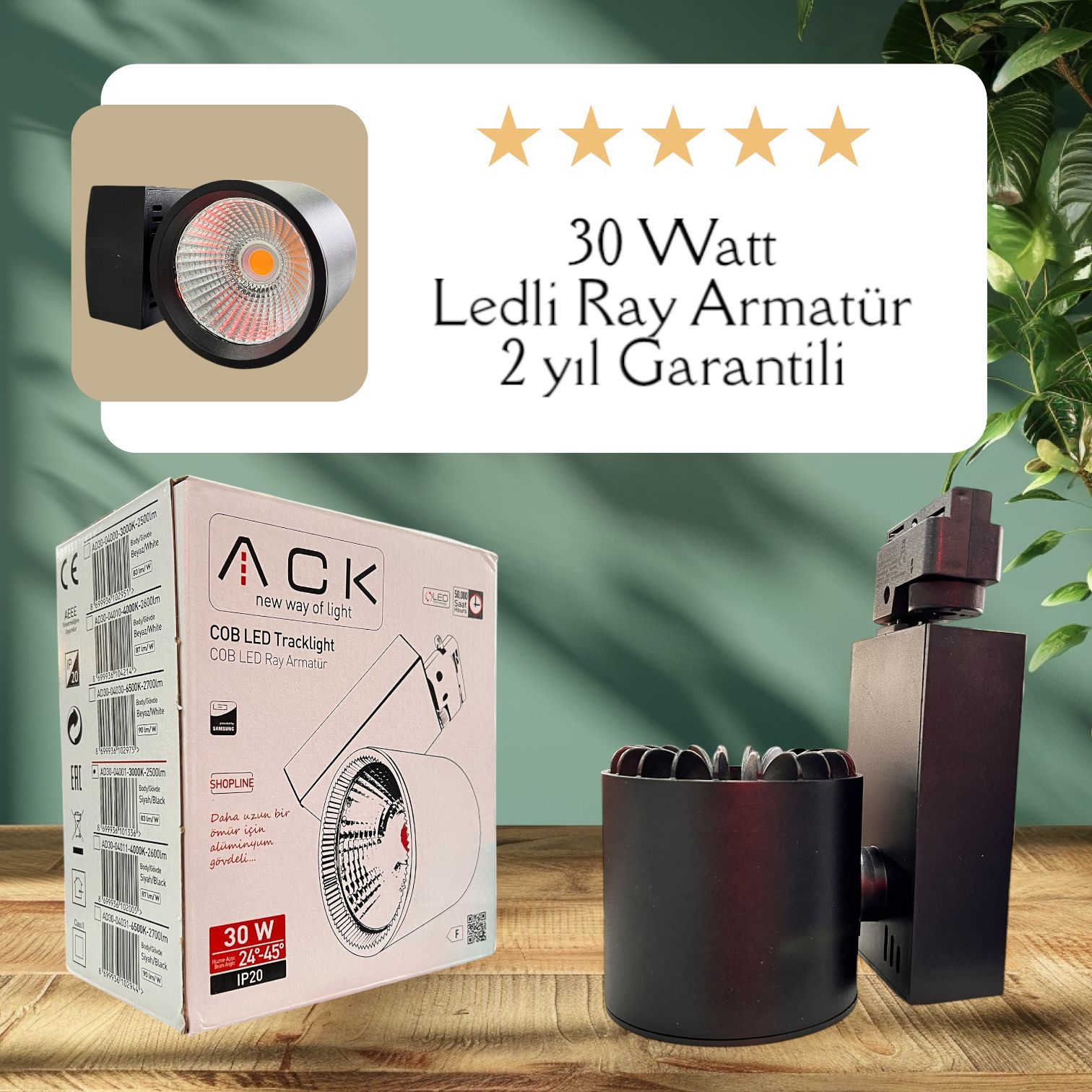 ACK 30W Sıyah 3000K Cob Led Monofaze Ray Armatürü AD30-04001