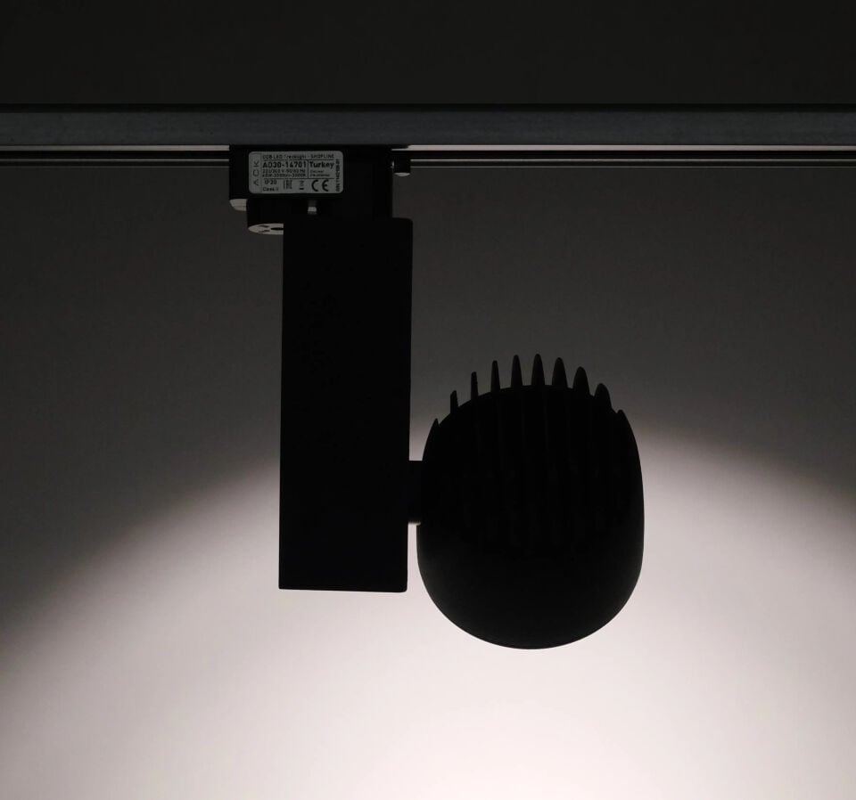 ACK 40W Sıyah 3000K Cob Led Monofaze Ray Armatürü AD30-14701