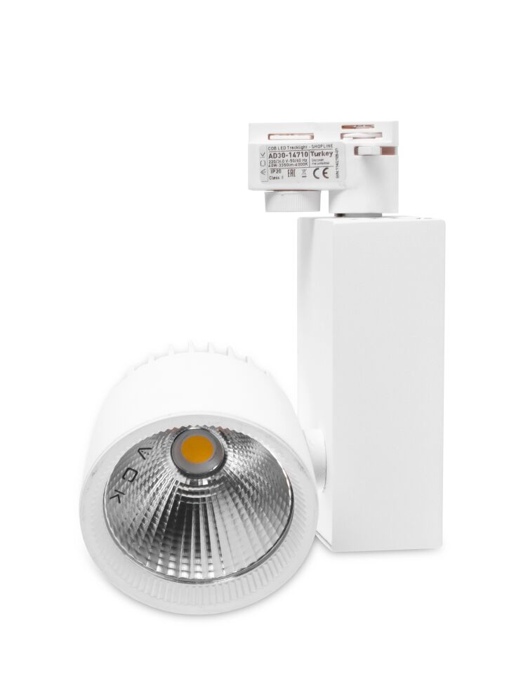ACK 40W Beyaz 4000K Cob Led Monofaze Ray Armatürü AD30-14710