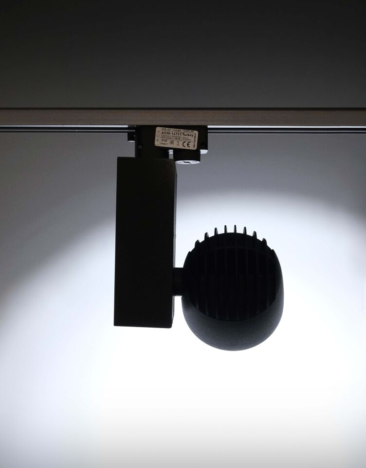 ACK 40W Sıyah 6500K Cob Led Monofaze Ray Armatürü AD30-14731