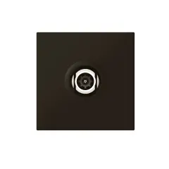Legrand  TV Prizi, Ø9.5 mm Erkek, 2M, Siyah LEG-079182L