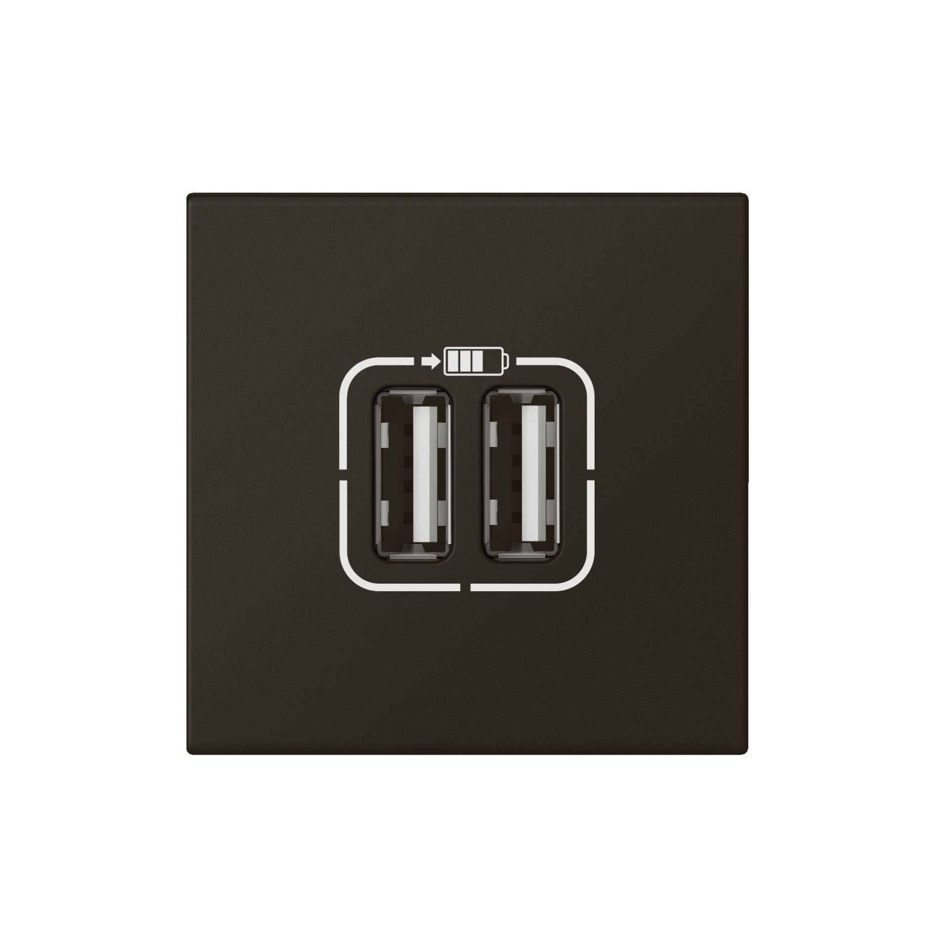 Legrand  İkili USB Şarj Prizi, A Tipi, 230V~, 5VDC - 2.4A, 12W, 2M, Siyah LEG-079194L
