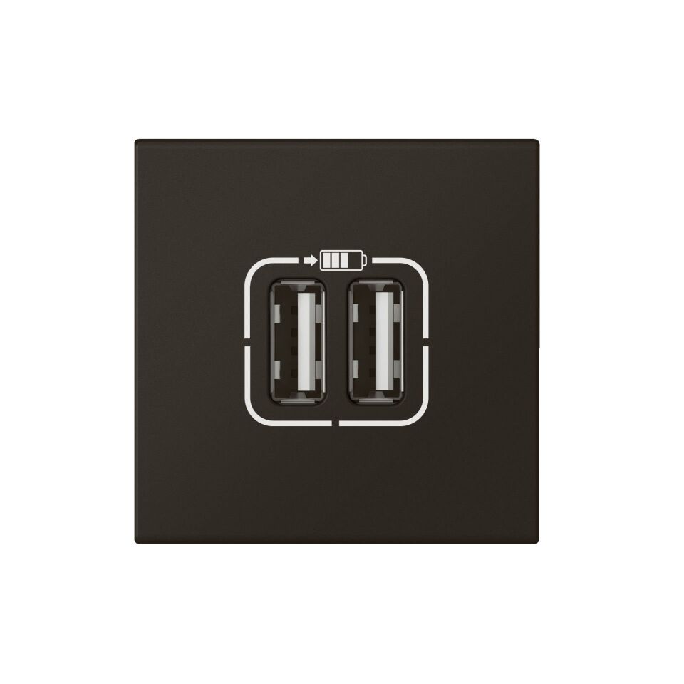 Legrand  İkili USB Şarj Prizi, A Tipi, 230V~, 5VDC - 2.4A, 12W, 2M, Siyah LEG-079194L