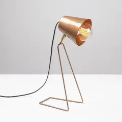 Aydinlatmadunyam Masa Lambasi Copper Kopek-Nt-147