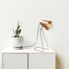 Aydinlatmadunyam Masa Lambasi Copper Kopek-Nt-147
