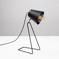 Aydinlatmadunyam Masa Lambasi Black Kopek-Nt-148