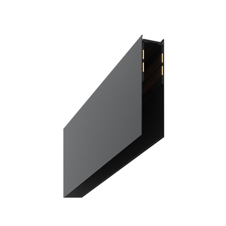 Goya Gy 2001-2 - Magnet Ray