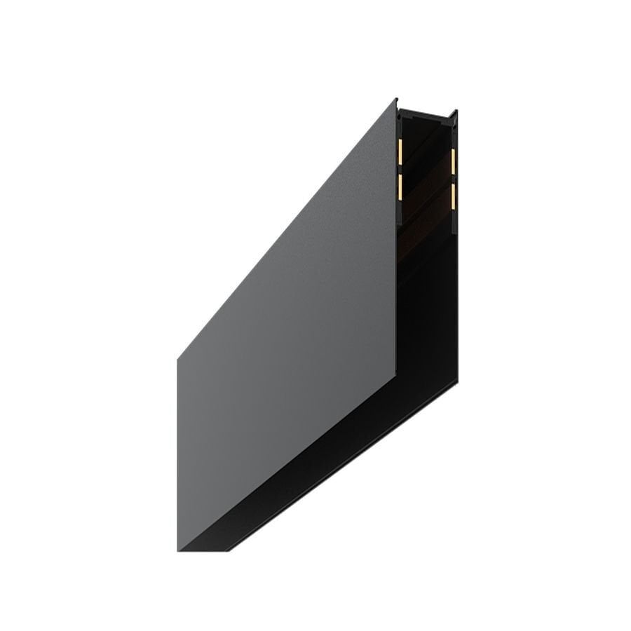 Goya Gy 2001-2 - Magnet Ray