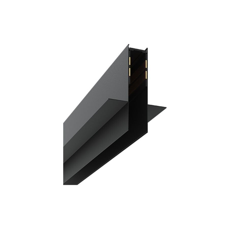 Goya Gy 2003-2 - Magnet Ray