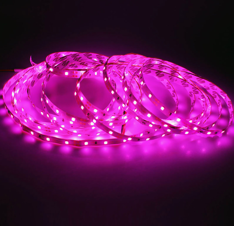 Cata 10 Çip Şerit Led İç Mekan Pembe Ct-4470