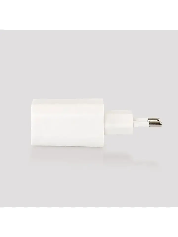 Compaxe Cta-300Ca Şarj Adaptörü Adaptör