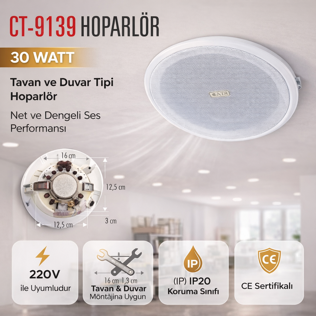 CATA CT-9139 Hoparlör 30W