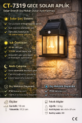 CATA CT-7319 Gece Solar Aplik 20W Gunisigi