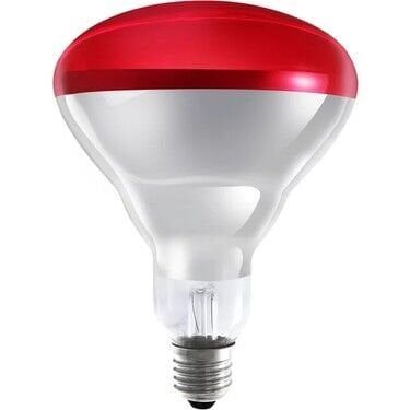 Philips Incandescent 230-250W Kirmizi Ampul E27