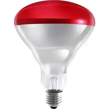Philips Infrared Br40 230V 150W Krimizi Ampul E27