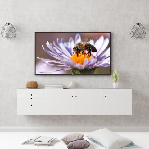 Next-NextStar Next Ye-42020 G6 Led Monıtor- Uydulu