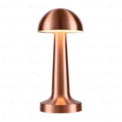 ACK 2W Copper Gövde Ledli Dokunmatik Dimli Masa Lambası AF11-00297