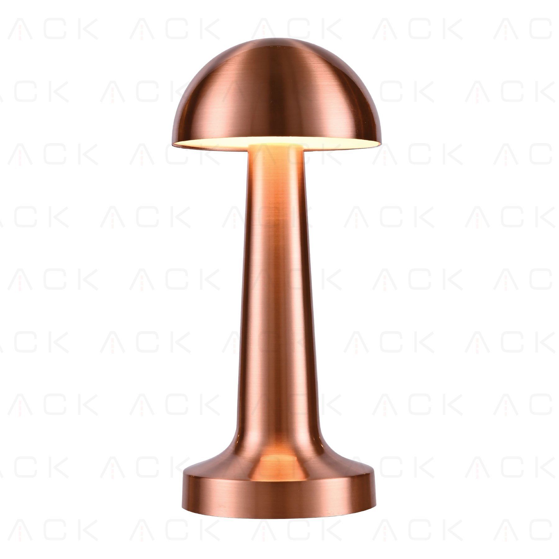 ACK 2W Copper Gövde Ledli Dokunmatik Dimli Masa Lambası AF11-00297