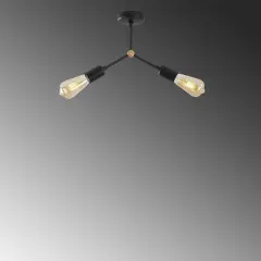 Aydinlatmadunyam Plafonyer Black Sparrow-Nua-1252