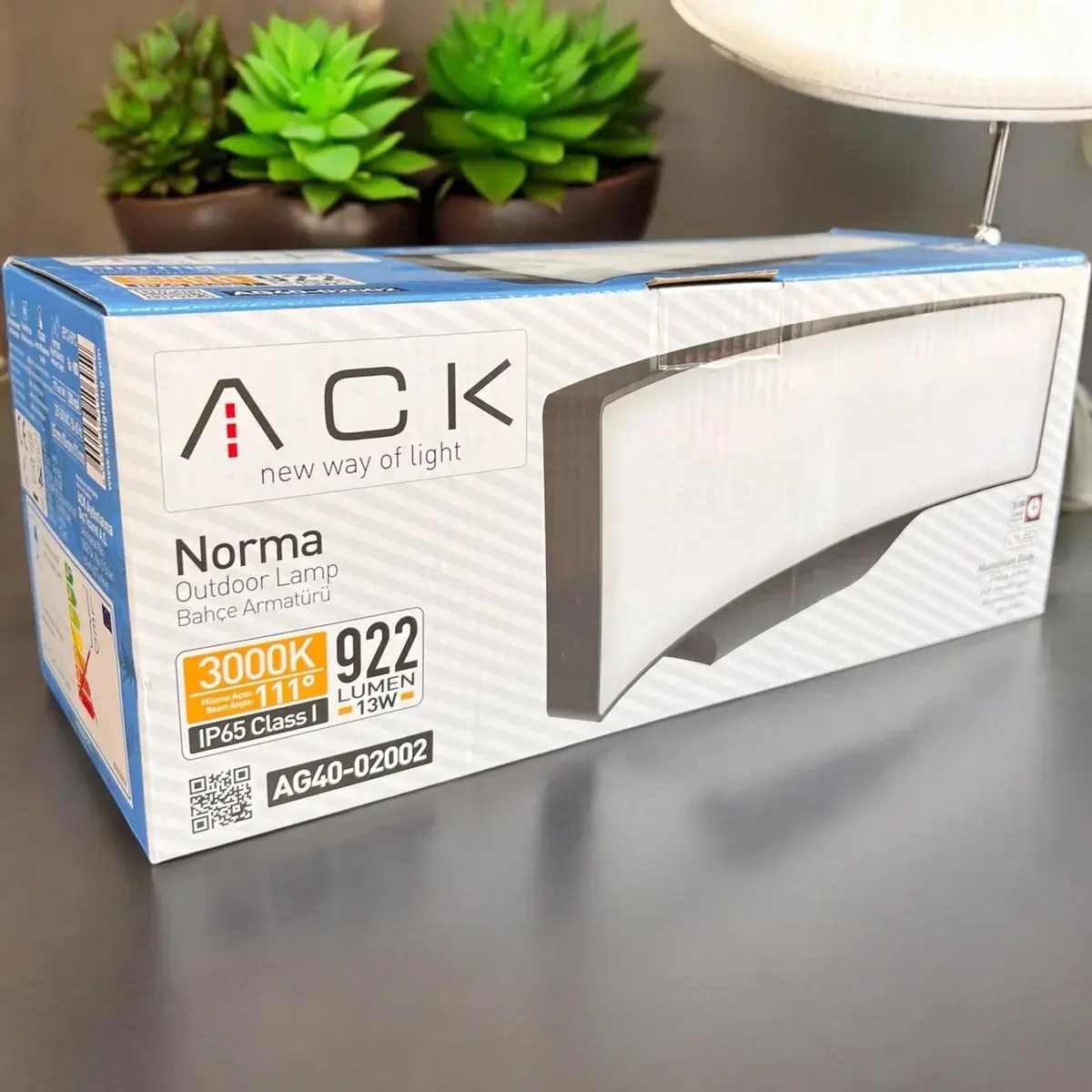 Ack AG40-02002 3000K Günışığı 13W Siyah Kasa Bahçe Duvar Apliği en uygun fiyatlı satıcı