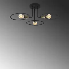 Aydinlatmadunyam Plafonyer Black Circle-Nua-1341