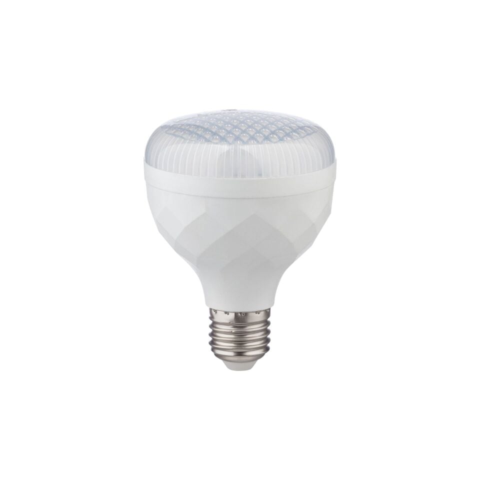 ZMR 30W Kristal Camli Torch Led Ampul E27 6500K