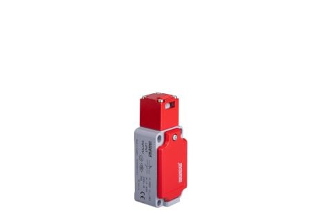 Emas Emniyet Sınır Şalteri Kıvrık+Düz Metal Anahtarlı - L52K23LUM320