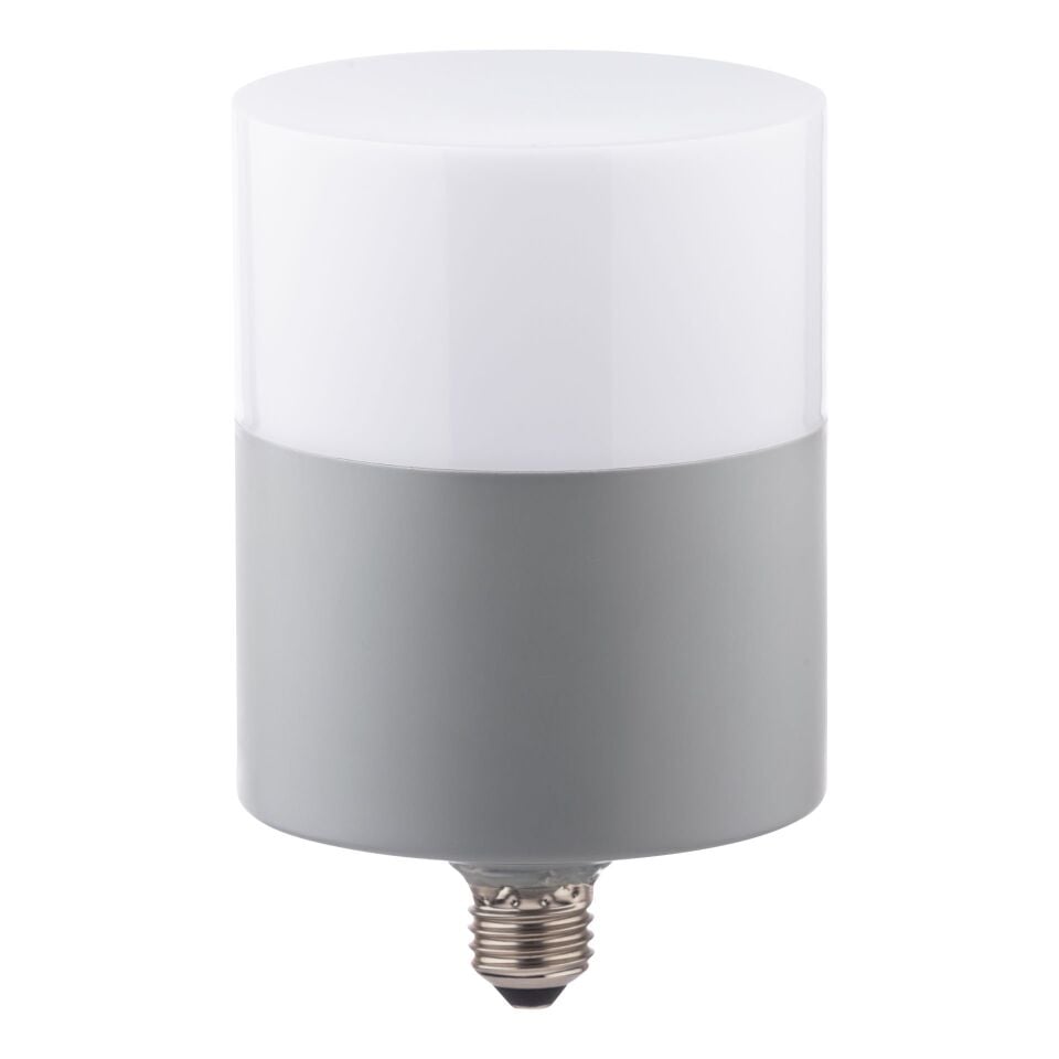 ZMR 40W Oval Dekoratif Torch Led Ampul E27 6500K