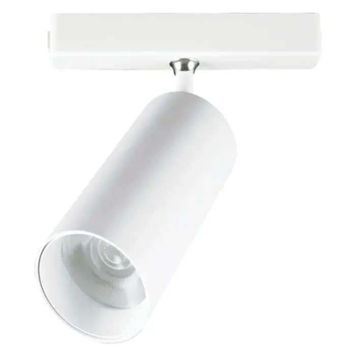 Cata Ct-5852G 30W Frank Magnetic Spot(Günişiği)