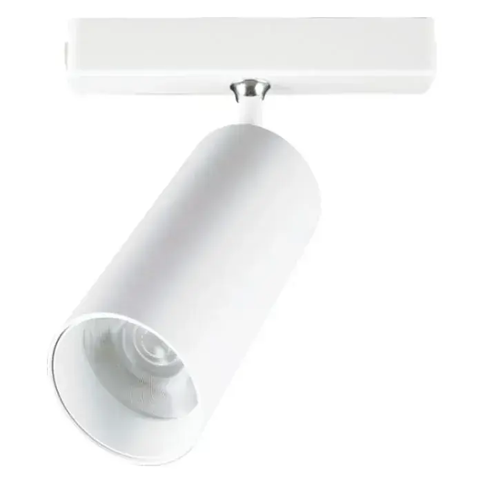 Cata Ct-5852G 30W Frank Magnetic Spot(Günişiği)
