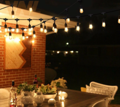 Horoz 10'lu Sıralı Dış Mekan Duyları Carnaval-1 Sarmaşık 10MT