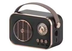 Platoon Pl-4641 Bluetooth, Sd, Usb Girisli Bluetooth Destekli Type-C Speaker (M4)