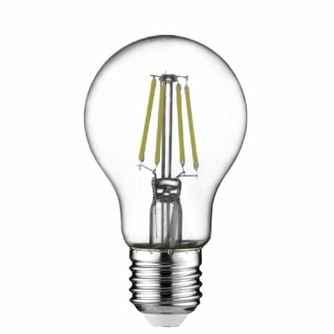 Horoz 001-015-0006 Filament Globe-6 6W 2700K E27 Led Ampul