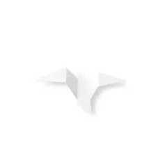 Aydinlatmadunyam Aplik White Pacali-13502-M