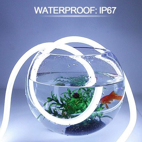 Cata Neon Led Amber Renk CT-4554 220 Volt