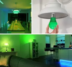 Cata 9W Yeşil Renk Led Ampul CT-4277