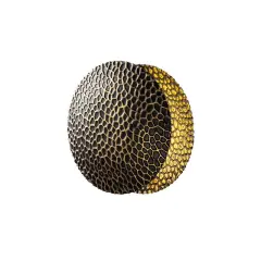 Aydinlatmadunyam Aplik BlackGold Yosma-13643