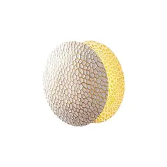 Aydinlatmadunyam Aplik WhiteGold Yosma-13646