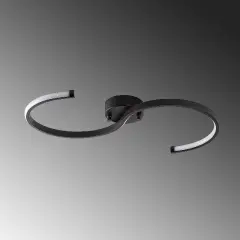 Aydinlatmadunyam Plafonyer Black Es-13583