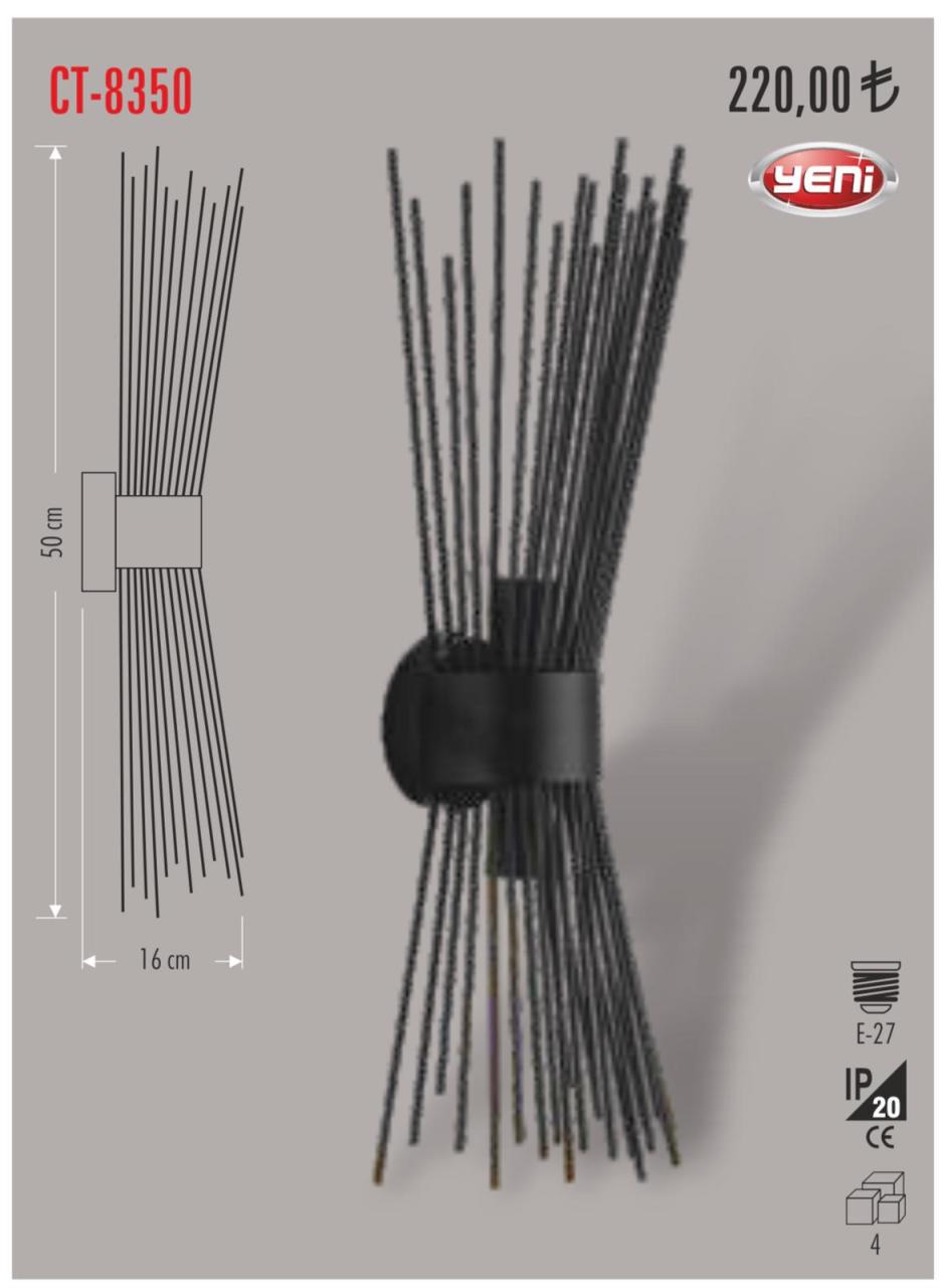 Cata Dekoratif Duvar Armatür CT-8350