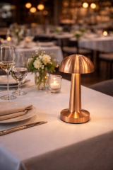 Horoz 050-003-0001-050 Aviva 3Cct Rose Gold 2W/5V Dimli Masa Lambasi