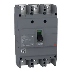 Schneider Ezc250H3125   Kompak Şalter Sabit 3X125A 36Ka