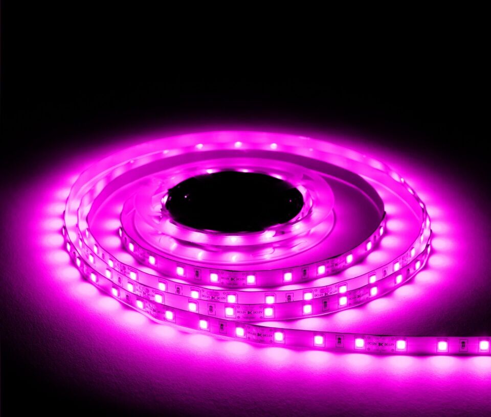 ACK Serıt Led Pembe 12V 4040 AS01-00809