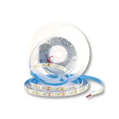 ACK 2835 4000K 24V Şerit Led 120 Led/Metre AS01-02401