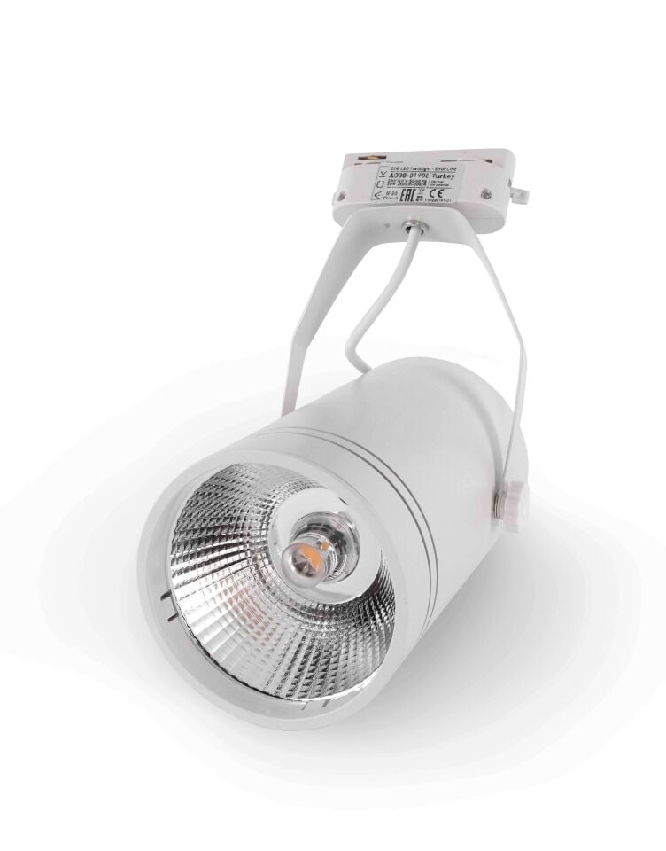 ACK 30W Beyaz 3000K Cob Led Monofaze Ray Armatürü AD30-01900