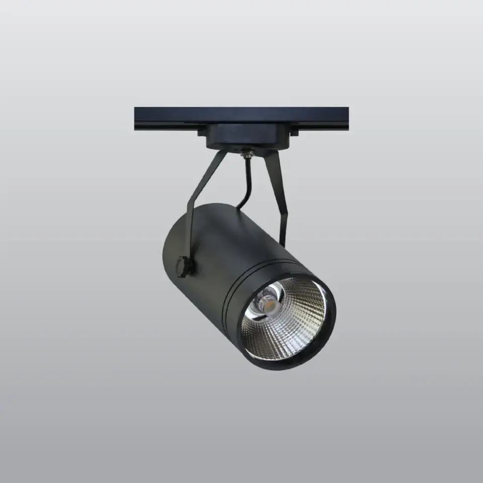 ACK 30W Sıyah 4000K Cob Led Monofaze Ray Armatürü AD30-01911