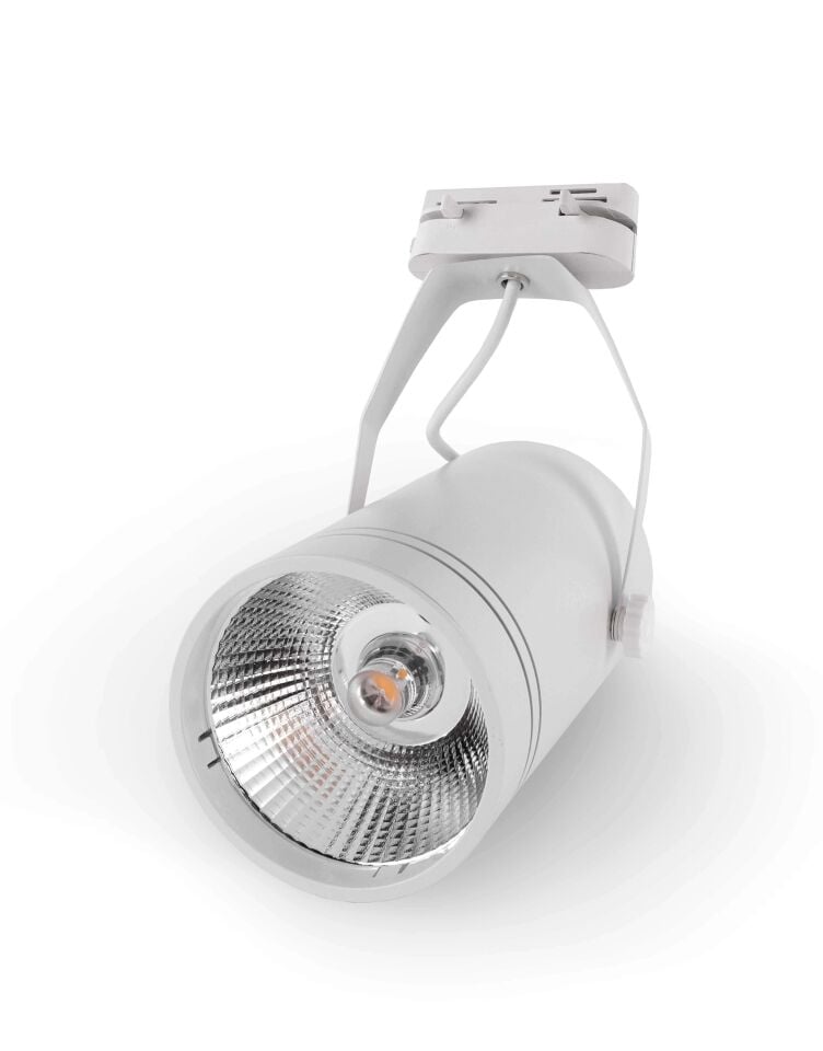 ACK 30W Beyaz 6500K Cob Led Monofaze Ray Armatürü AD30-01930