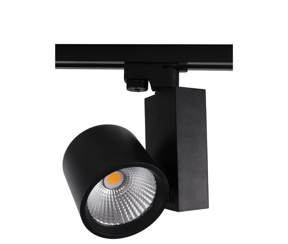 ACK 30W Sıyah 4000K Cob Led Monofaze Ray Armatürü AD30-04011
